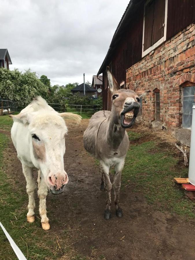 Stuga Asnagard Torsby Dış mekan fotoğraf